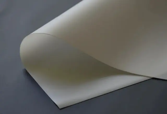 TOILE DE RETRO-PROJECTION