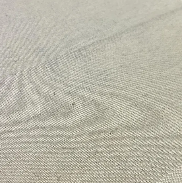 TOILE BISONNE